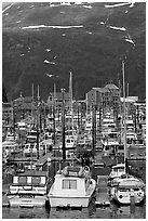 Yachts anchored in small boat harbor. Whittier, Alaska, USA ( black and white)