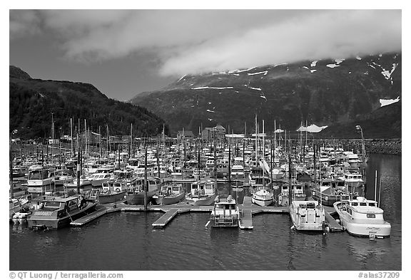 Whittier Harbour and mountains. Whittier, Alaska, USA (black and white)