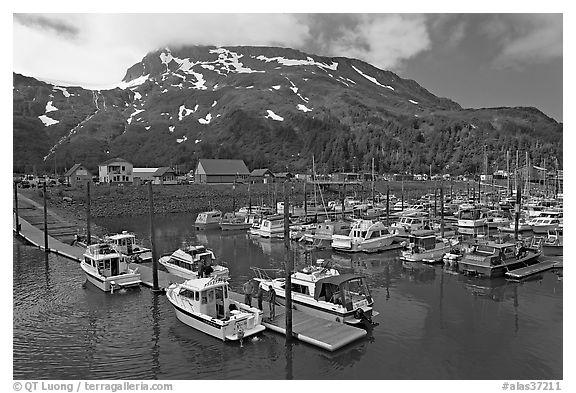 Yachts ready for sailing and harbor. Whittier, Alaska, USA (black and white)
