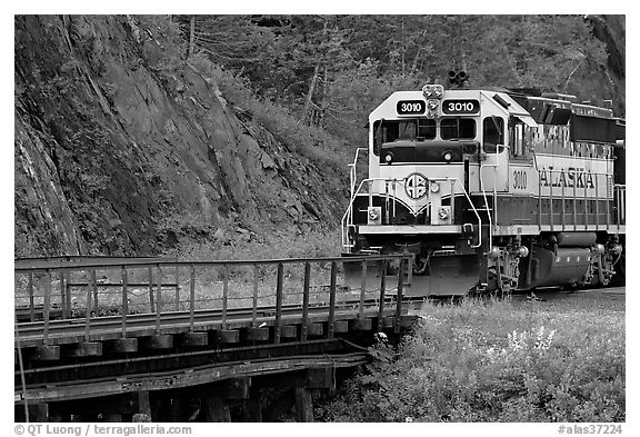 Alaska railroad locomotive. Whittier, Alaska, USA