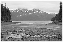 Cove and Passage Canal Fjord. Whittier, Alaska, USA ( black and white)