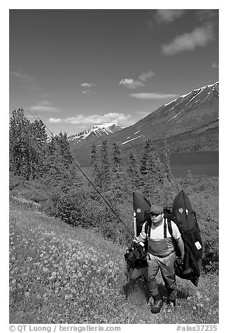 Fisherman hiking out from lake with full gear. Alaska, USA (black and white)