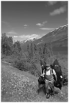 Fisherman hiking out from lake with full gear. Alaska, USA (black and white)