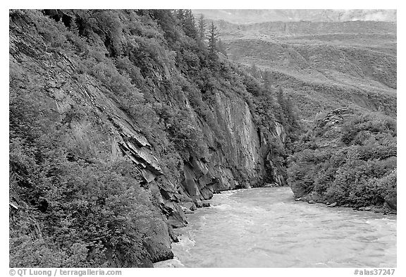 River, vegetation covered rock walls, Keystone Canyon. Alaska, USA