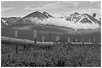 Trans-Alaska Pipeline and mountains. Alaska, USA (black and white)