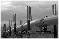 Trans-Alaska Pipeline near Richardson Highway. Alaska, USA ( black and white)