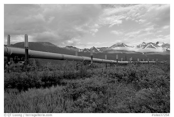 Alyeska Pipeline and mountains. Alaska, USA (black and white)