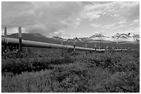 Alyeska Pipeline and mountains. Alaska, USA (black and white)