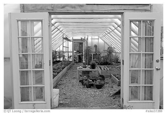 Greenhouse used for vegetable growing. McCarthy, Alaska, USA