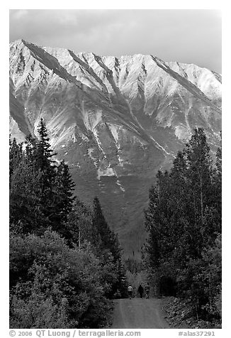 People strolling on unpaved path, with sunset light on mountains. McCarthy, Alaska, USA