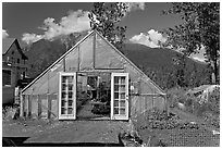 Greenhouse and vegetable garden. McCarthy, Alaska, USA (black and white)