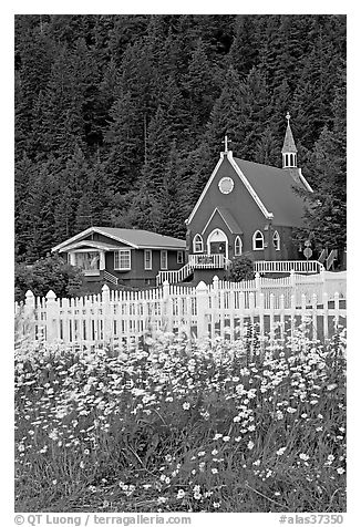 White flowers,  picket fence, red church, and forest. Seward, Alaska, USA (black and white)