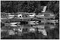 Float planes on Lake Hood, the largest float plane base in the world. Anchorage, Alaska, USA (black and white)