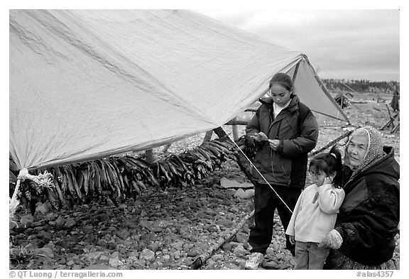 Inupiaq Eskimo family with stand of drying fish, Ambler. North Western Alaska, USA