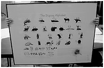 Poster describing the Inupiaq alphabet, Kiana. North Western Alaska, USA (black and white)