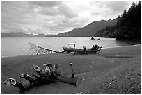 Beach and Resurection Bay at Lowell Point. Seward, Alaska, USA ( black and white)