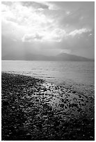 Katchemak Bay from the Spit, Kenai Mountains in the backgound. Homer, Alaska, USA ( black and white)