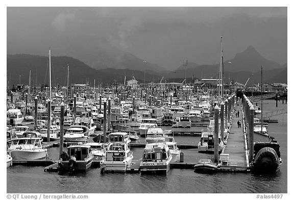 Small Boat Harbor on the Spit. Homer, Alaska, USA (black and white)