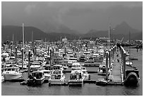 Small Boat Harbor on the Spit. Homer, Alaska, USA ( black and white)