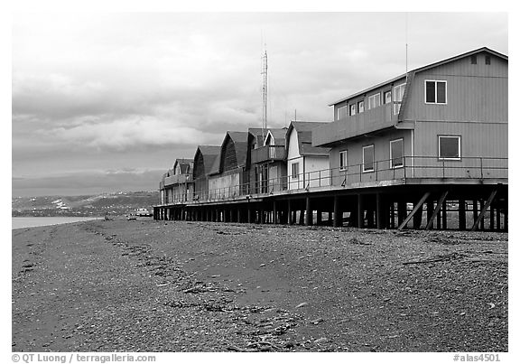Beach and stilt houses on the Spit. Homer, Alaska, USA (black and white)
