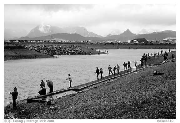 The Fishing Hole. Homer, Alaska, USA (black and white)