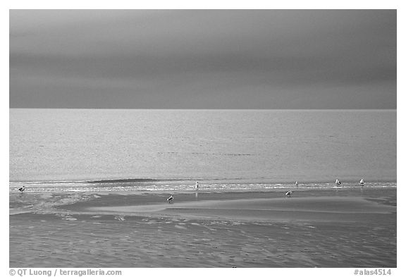 Stormy skies on the Bay. Homer, Alaska, USA (black and white)