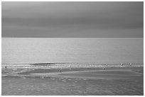 Stormy skies on the Bay. Homer, Alaska, USA ( black and white)