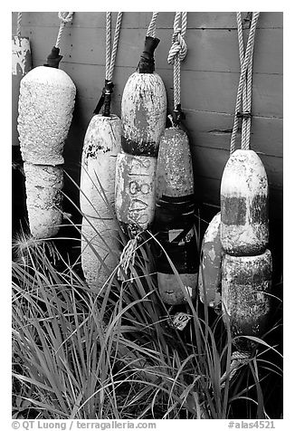 Buoys hanging on the side of a boat. Homer, Alaska, USA (black and white)