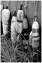 Buoys hanging on the side of a boat. Homer, Alaska, USA (black and white)