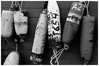 Buoys hanging on the side of a boat. Homer, Alaska, USA (black and white)