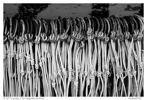 Fishing hooks. Homer, Alaska, USA (black and white)