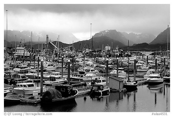 Small Boat Harbor on the Spit with Kenai Mountains in the backgound. Homer, Alaska, USA