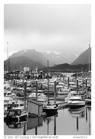 Small Boat Harbor on the Spit with Kenai Mountains in the backgound. Homer, Alaska, USA