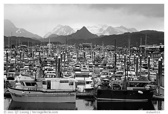 Small Boat Harbour on the Spit with Kenai Mountains in the backgound. Homer, Alaska, USA