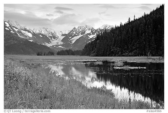 Chugatch Mountains reflected in pond near Portage. Alaska, USA (black and white)