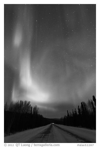 Road with northern lights above. Alaska, USA (black and white)