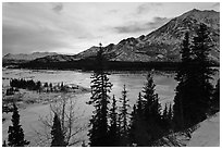 Winter sunset over Nenana River. Alaska, USA ( black and white)