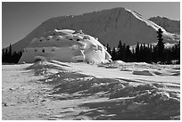 Winter landscape with igloo-shaped building. Alaska, USA (black and white)