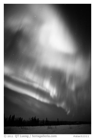 Solar Storm in sky above snowy meadow. Alaska, USA (black and white)