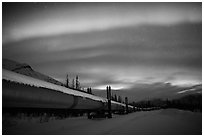 Trans Alaska Oil Pipeline at night with Northern Lights. Alaska, USA ( black and white)