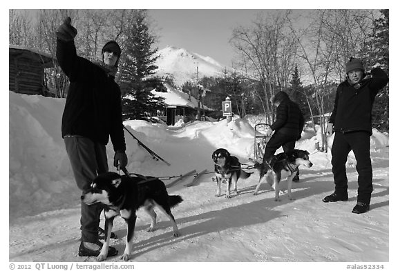 Residents preparing dog sled. Wiseman, Alaska, USA (black and white)