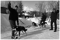 Residents preparing dog sled. Wiseman, Alaska, USA (black and white)