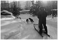 Dog sledding through village. Wiseman, Alaska, USA (black and white)