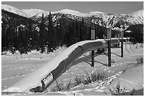 Trans Alaska Oil Pipeline in winter. Alaska, USA ( black and white)
