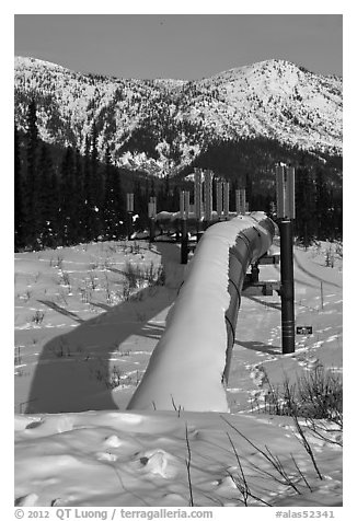 Snow-covered Alaska Oil Pipeline. Alaska, USA (black and white)