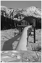 Snow-covered Alaska Oil Pipeline. Alaska, USA (black and white)