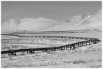 Alyeska Pipeline snaking to the North Slope in winter. Alaska, USA ( black and white)