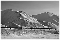 Trans Alaska Pipeline and snow-covered mountains. Alaska, USA ( black and white)