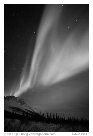 Northern Lights and starry night sky, Brooks Range. Alaska, USA (black and white)