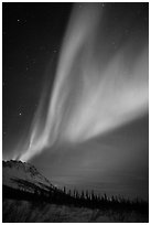 Northern Lights and starry night sky, Brooks Range. Alaska, USA ( black and white)